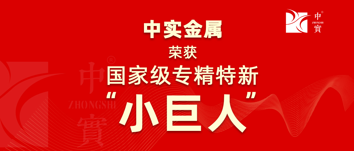 【喜讯】五大联赛(中国)金属获评为广东省第六批专精特新“小巨人”企业